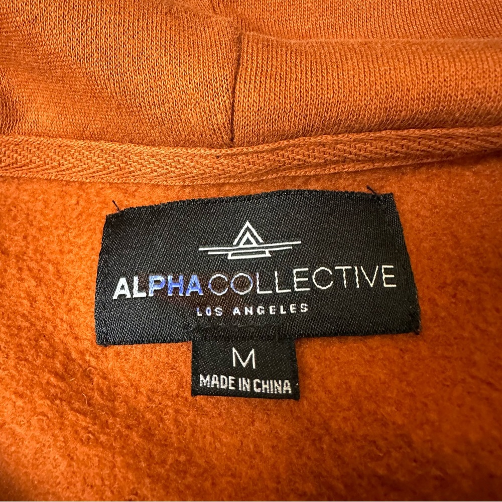 Alpha Collective Los Angeles “Burning Love” Whimsical Graphic Hoodie - Picture 6 of 7